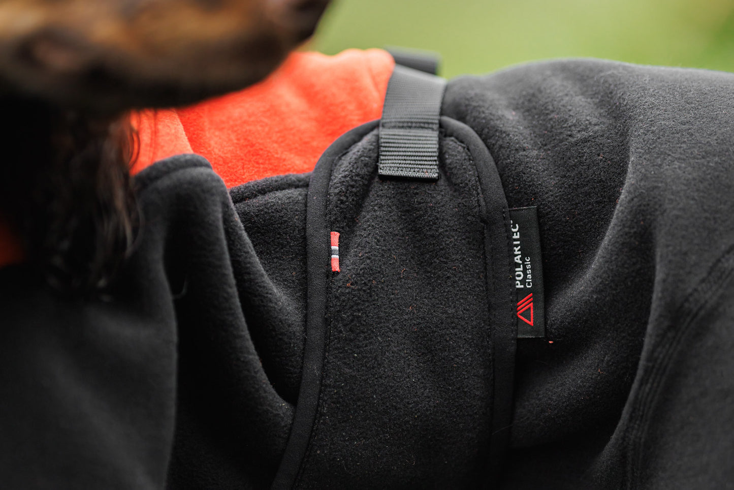 Phoenix dog jacket (2)