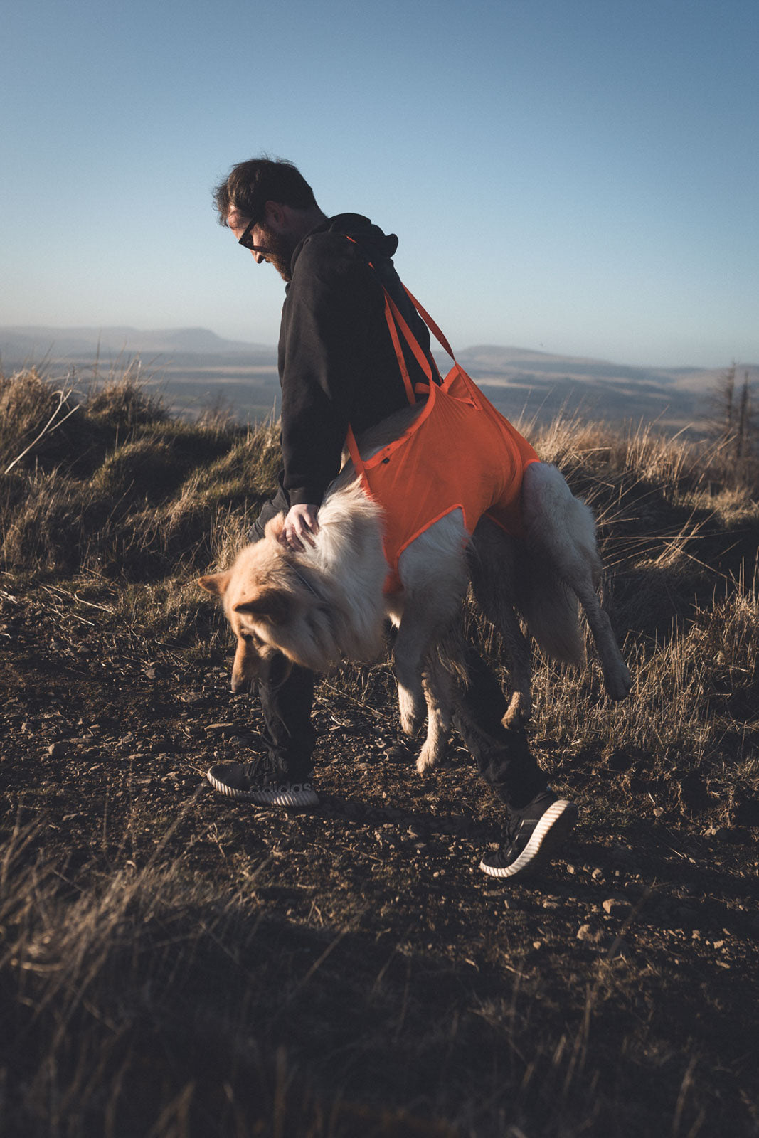 Dog rescue sling (1)