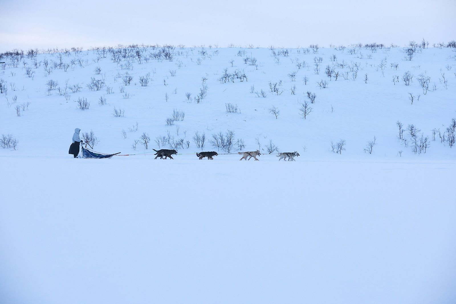 Tundra anojakka 2.0 (5)